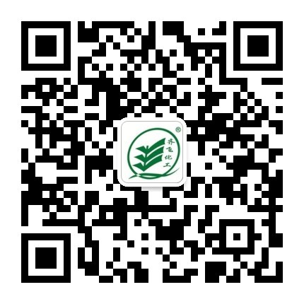 黄瓜视频色情网站